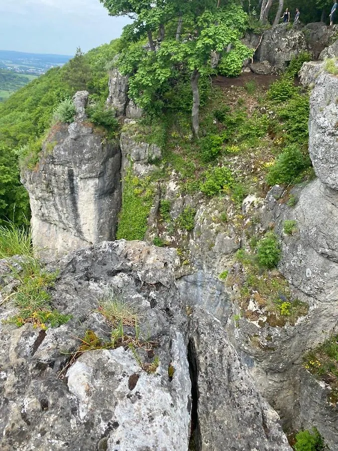 Апартаменты Laendliche Fewo Rose, 4Km Zum Stausee Happurg 0*,  Германия